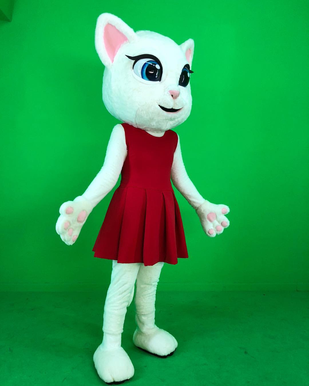 25