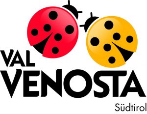 LOGO VALVENOSTA def