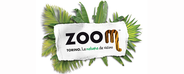 zoom_LOGO